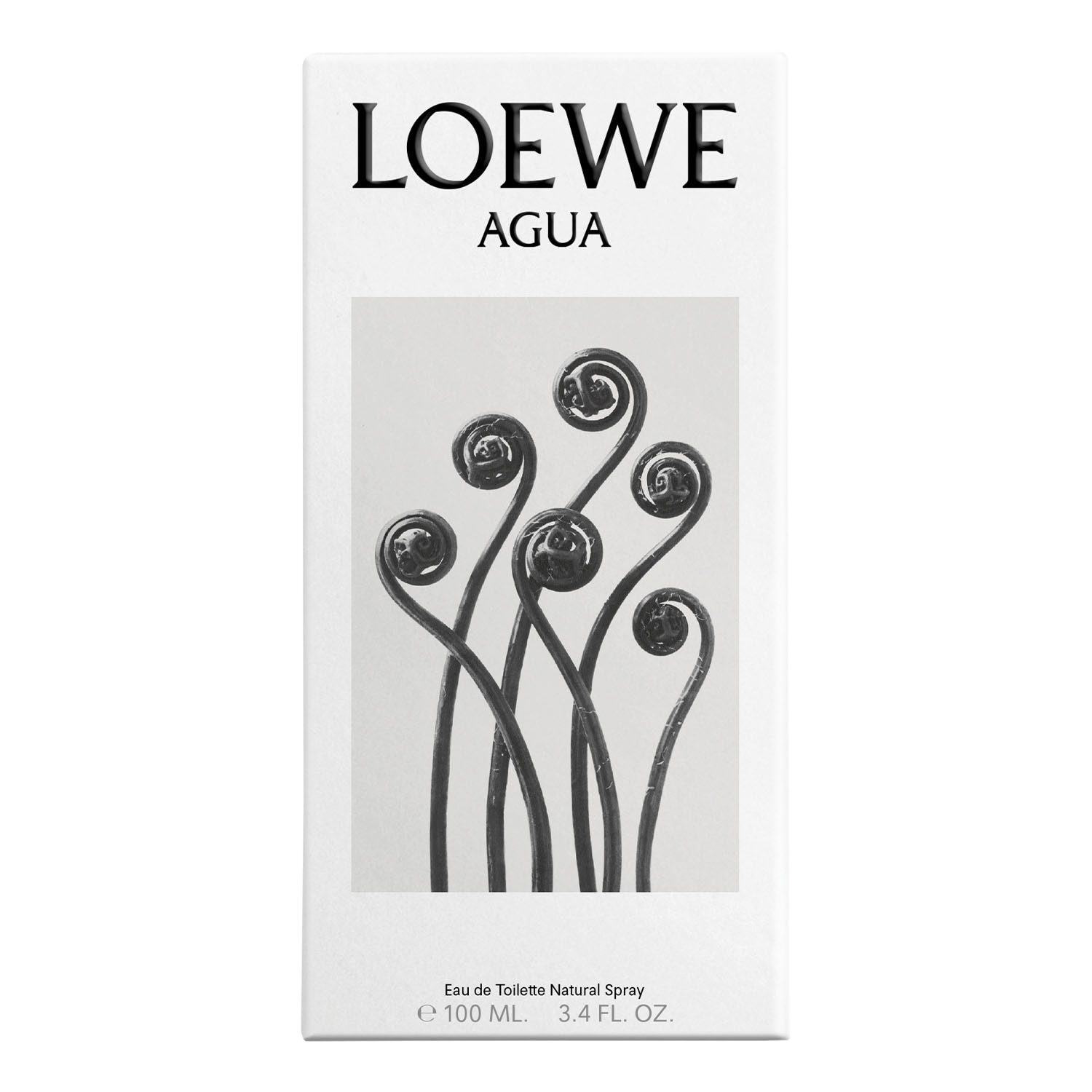 LOEWE AGUA EAU DE TOILETTE